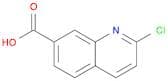 2-Chloro-7-quinolinecarboxylic acid