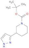 tert-Butyl 3-(1H-pyrazol-3-yl)piperidine-1-carboxylate