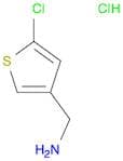 (5-Chlorothiophen-3-yl)methanamine hydrochloride