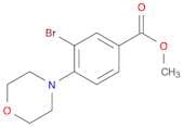 Methyl 3-bromo-4-morpholinobenzoate