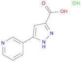 5-PYRIDIN-3-YL-1H-PYRAZOLE-3-CARBOXYLIC ACIDHYDROCHLORIDE