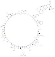 Rat C-type natriuretic peptide(1-22)
