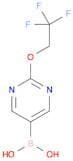 (2-(2,2,2-Trifluoroethoxy)pyrimidin-5-yl)boronic acid