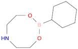Cyclohexylboronic acid diethanolamine ester