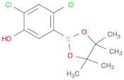 2,4-Dichloro-5-(4,4,5,5-tetramethyl-1,3,2-dioxaborolan-2-yl)phenol