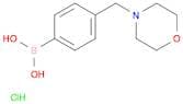 4-(morpholinomethyl)phenylboronic acid hydrochloride