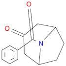 8-Benzoyl-8-azabicyclo[3.2.1]octan-3-one