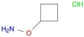 O-Cyclobutyl-hydroxylamine hydrochloride