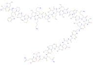 DERMASEPTIN PHYLLOMEDUSA SAUVAGII