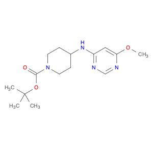 4-(6-Methoxy-pyriMidin-4-ylaMino)-piperidine-1-carboxylic acid tert-butyl ester