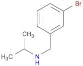 N-(3-BROMOBENZYL)-N-ISOPROPYLAMINE