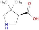 (R)-4,4-Dimethylpyrrolidine-3-carboxylic acid