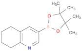 5,6,7,8-Tetrahydroquinoline-3-boronic acid, pinacol ester
