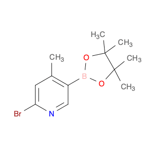 6-BROMO-4-METHYLPYRIDINE-3-BORONIC ACID PINACOL ESTER