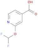 2-(Difluoromethoxy)isonicotinic acid