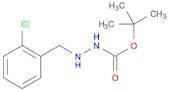 tert-butyl 2-(2-chlorobenzyl)hydrazinecarboxylate