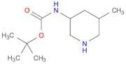 tert-Butyl (5-methylpiperidin-3-yl)carbamate