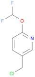 5-(chloroMethyl)-2-(difluoroMethoxy)pyridine