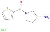 (3-Amino-pyrrolidin-1-yl)-thiophen-2-yl-methanone hydrochloride