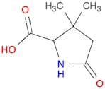 Proline, 3,3-dimethyl-5-oxo- (9CI)