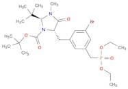 tert-butyl (2S,5S)-5-({3-bromo-5-[(diethoxyphosphoryl)methyl]phenyl}methyl)-2-tert-butyl-3-methyl-…