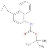Tert-Butyl (4-Cyclopropylnaphthalen-1-Yl)Carbamate