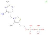 Thiamine pyrophosphate