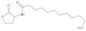 N-Dodecanoyl-DL-homoserine lactone