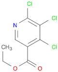 4,5,6-Trichloronicotinic acid ethyl ester