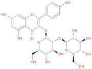 Kaempferol 3-O-sophoroside