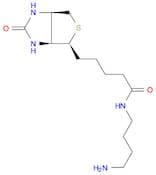 N-(4-Aminobutyl)biotinamide