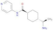 (1R,4r)-4-((R)-1-aminoethyl)-N-(pyridin-4-yl)cyclohexanecarboxamide