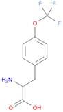 2-AMINO-3-(4-TRIFLUOROMETHOXY-PHENYL)-PROPIONIC ACID