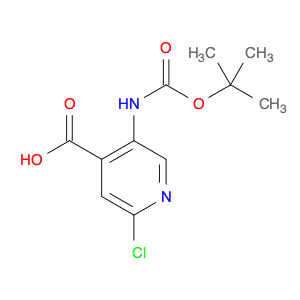 5-[(tert-Butoxycarbonyl)amino]-2-chloroisonicotinic acid
