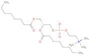 1,2-Dioctanoyl-sn-glycero-3-PC