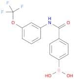 (4-((3-(trifluoromethoxy)phenyl)carbamoyl)phenyl)boronic acid