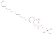 1-MYRISTOYL-SN-GLYCERO-3-PHOSPHOCHOLINE