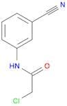 N1-(3-Cyanophenyl)-2-chloroacetamide