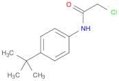 N1-[4-(TERT-BUTYL)PHENYL]-2-CHLOROACETAMIDE