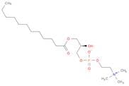 L-α-LYSOPHOSPHATIDYLCHOLINE, LAUROYL
