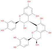 Procyanidin B4