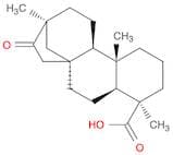 17-Norkauran-18-oic acid, 13-methyl-16-oxo-, (4a,8b,13b)-