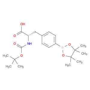 Boc-4-pinicalborane-L-phenylalanine