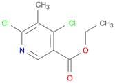 Ethyl 4,6-dichloro-5-methylnicotinate