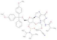 DMT-2μ-O-Me-rG(ib)  amidite