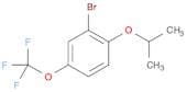 2-Bromo-1-isopropoxy-4-(trifluoromethoxy)benzene