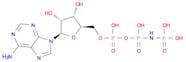 Adenylyl Imidodiphosphate