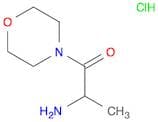 2-amino-1-(morpholin-4-yl)propan-1-one hydrochloride