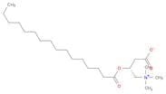 PALMITOYL CARNITINE
