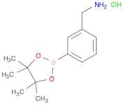 3-Aminomethylphenylboronic acid, pinacol ester, HCl